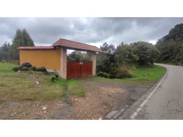 place photo 37