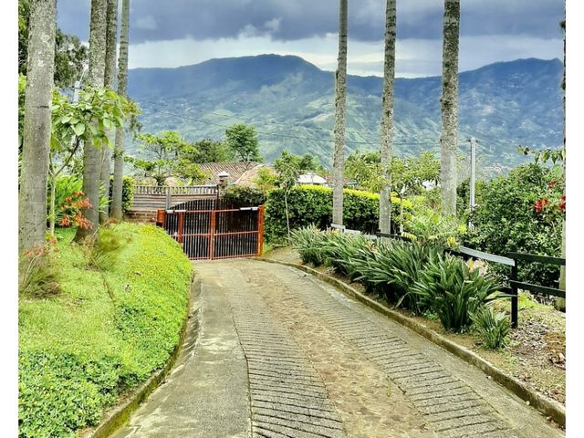 place photo 37
