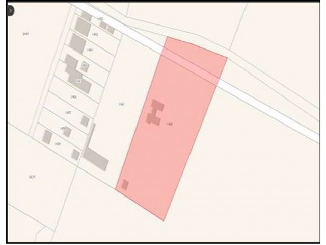 place photo 37