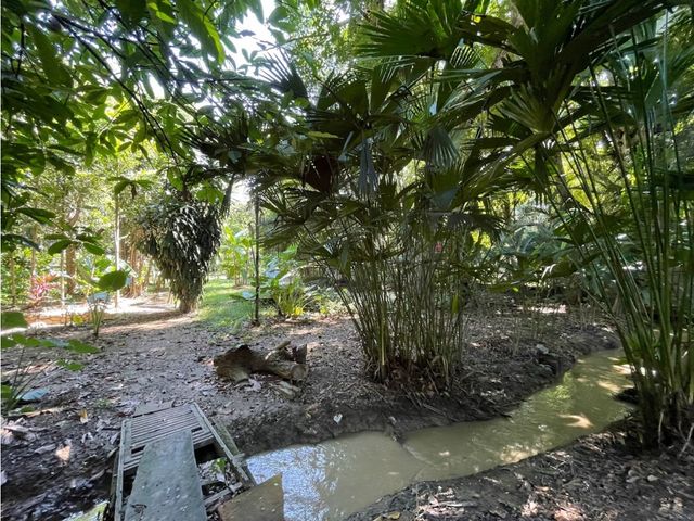 place photo 61