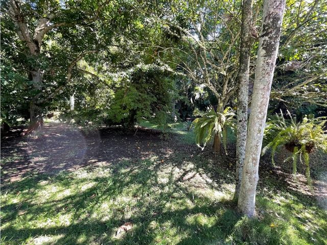 place photo 64