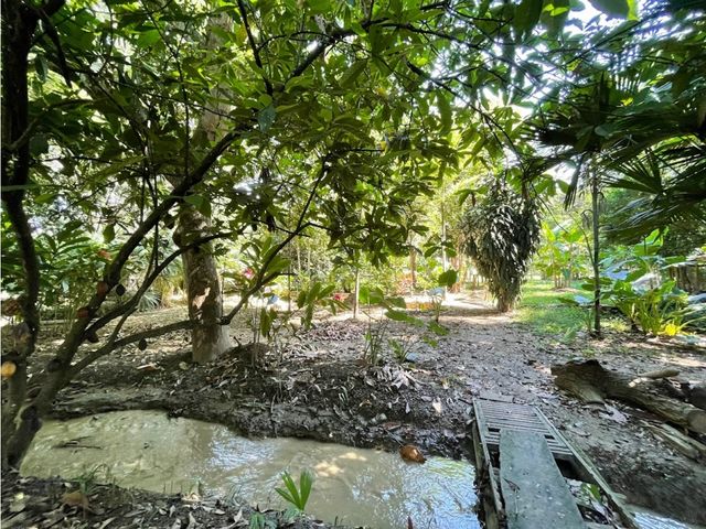place photo 66