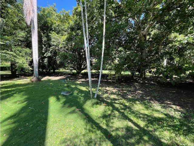 place photo 65
