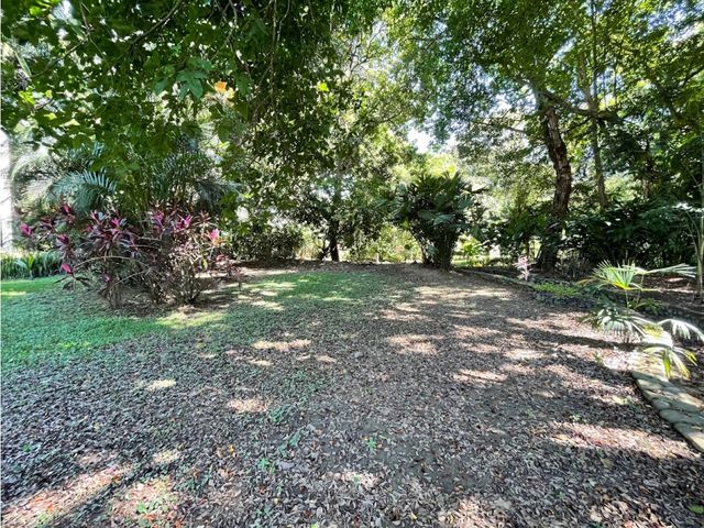 place photo 68