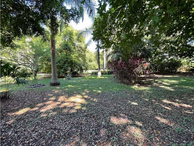 place photo 67
