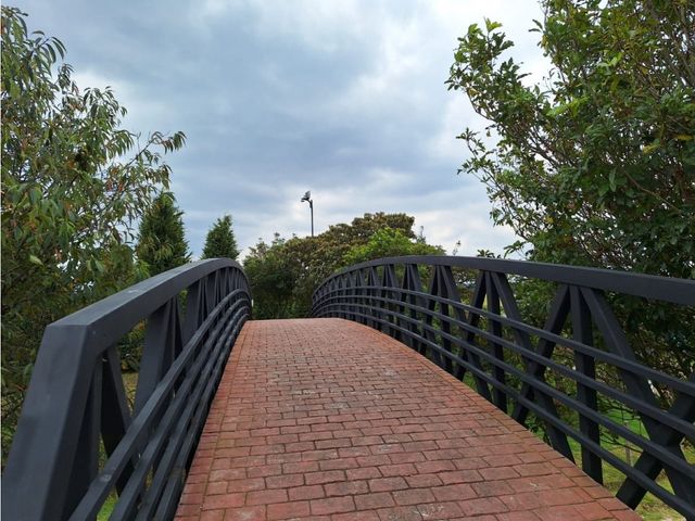 place photo 39