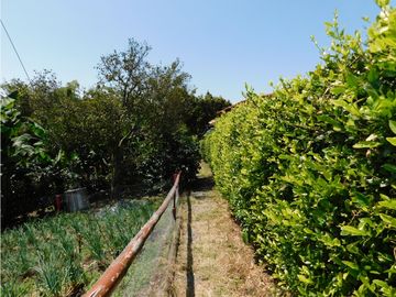 place photo 40