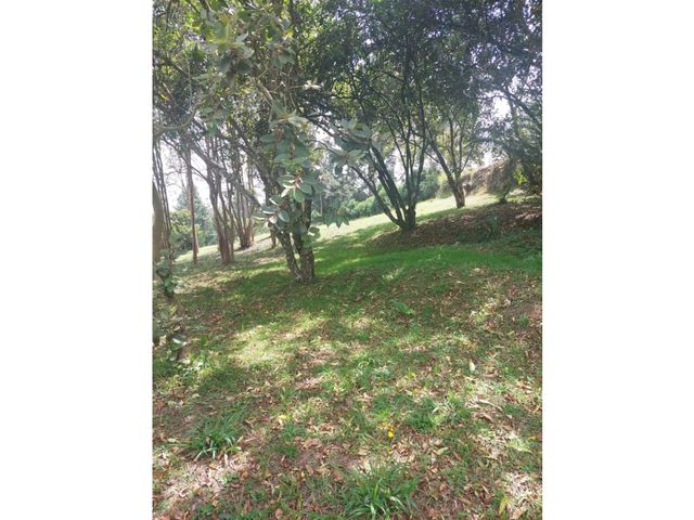 place photo 45