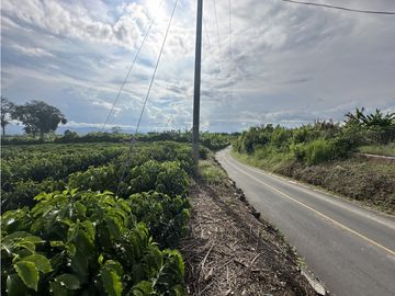 place photo 37