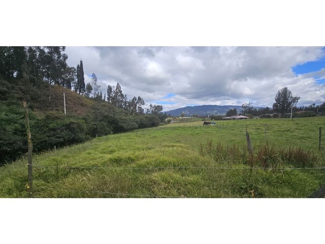 place photo 47
