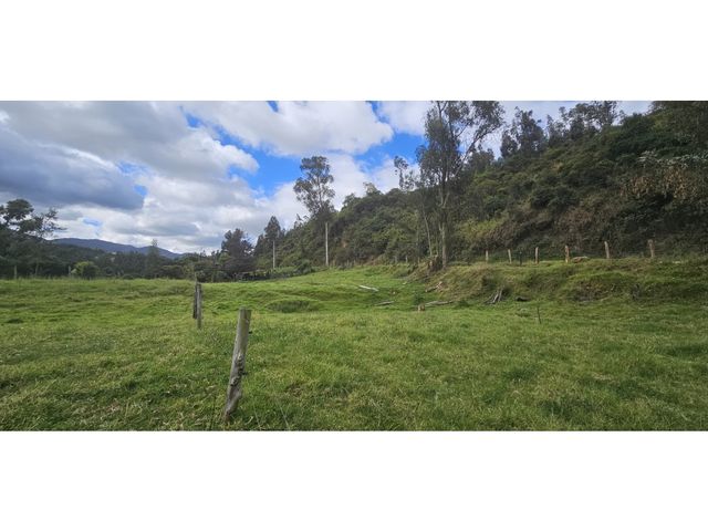 place photo 45