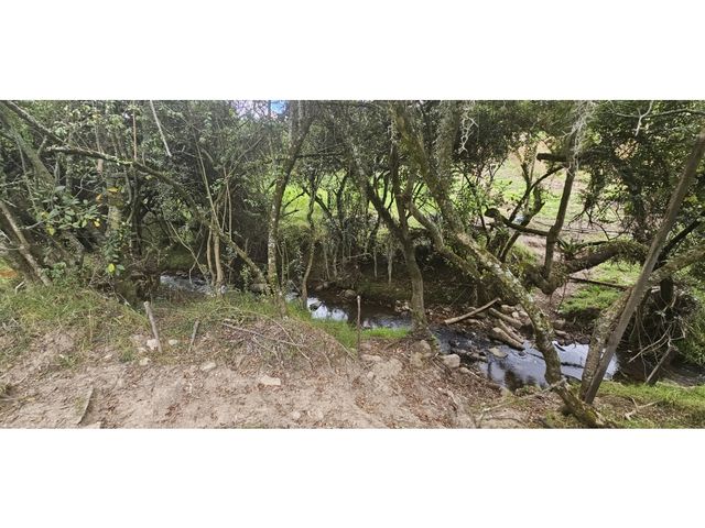 place photo 51