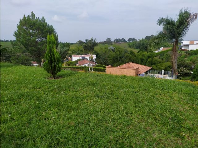 place photo 46