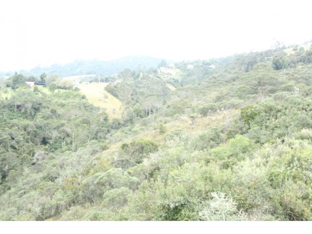 place photo 40