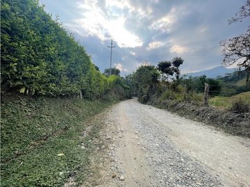 place photo 52