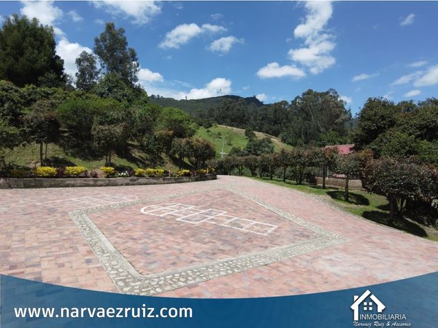 place photo 31