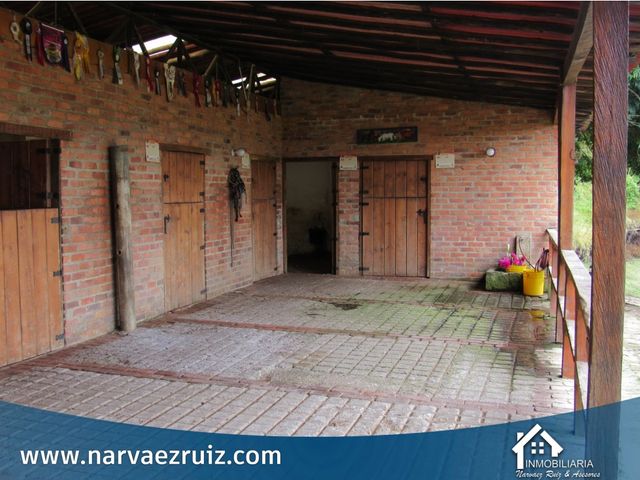 place photo 44