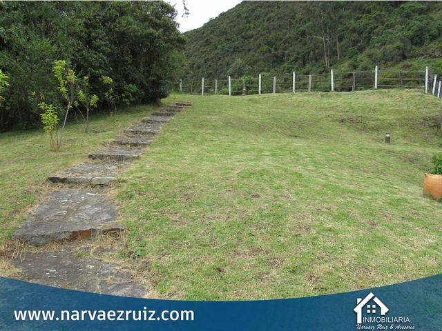 place photo 52