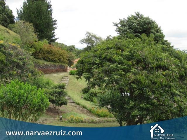 place photo 53