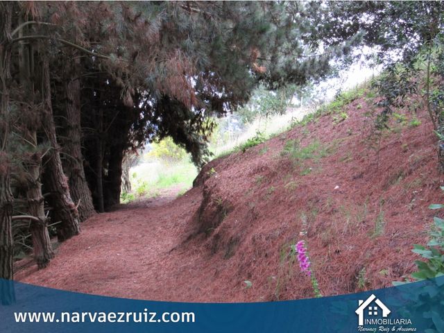 place photo 61