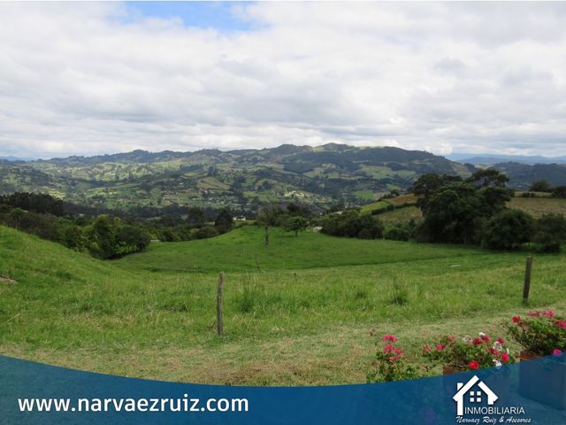 place photo 48