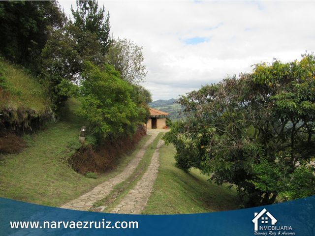 place photo 49