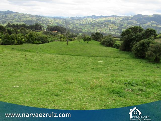 place photo 51