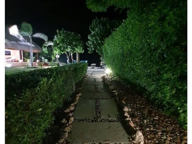 place photo 19