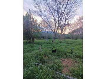 place photo 41