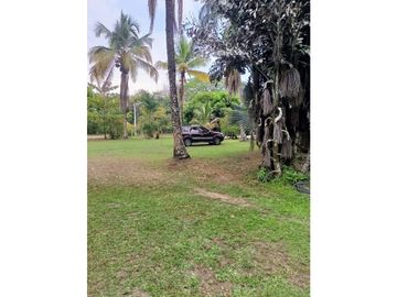 place photo 42