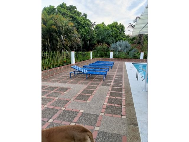 place photo 44