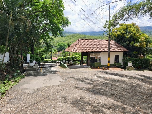 place photo 46