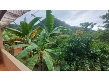 place photo 46