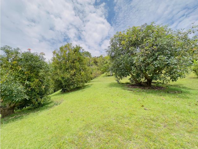 place photo 42