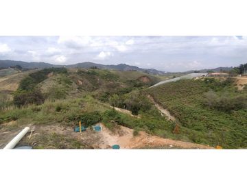place photo 44