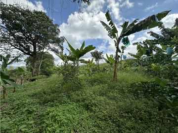 place photo 45