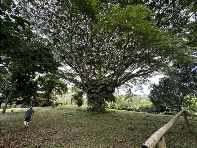 place photo 56