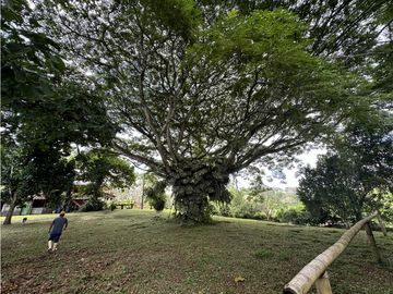 place photo 56