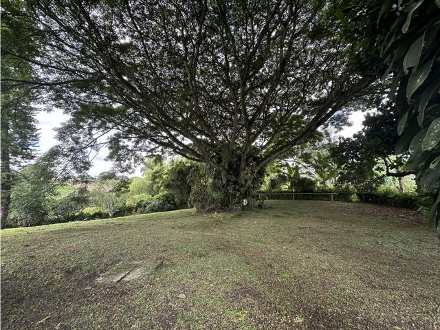 place photo 55
