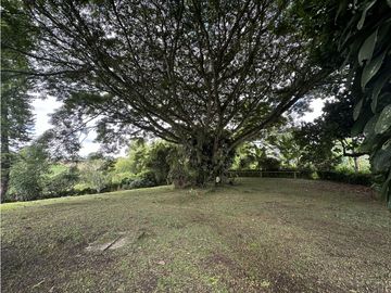 place photo 55