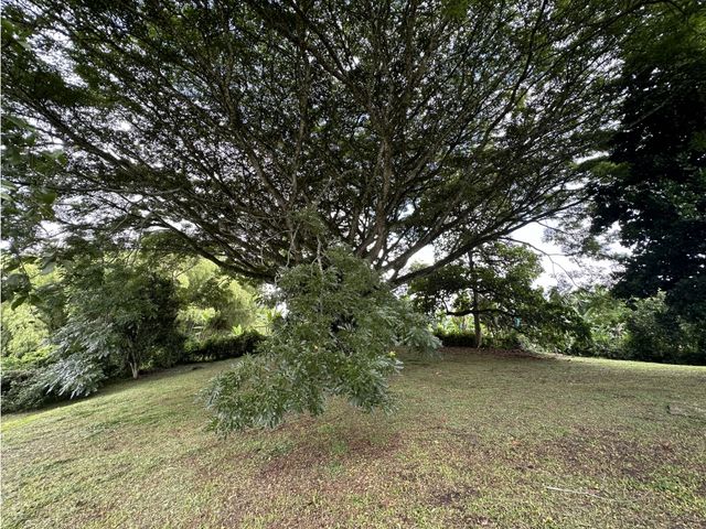 place photo 54