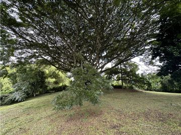 place photo 54