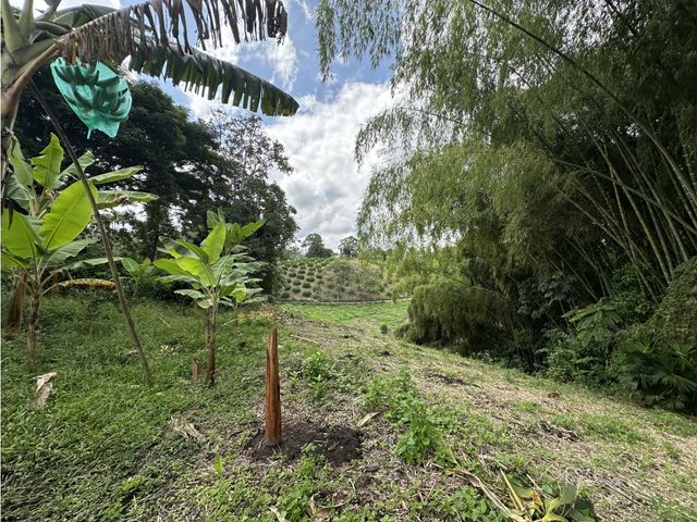 place photo 53