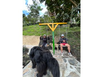 place photo 23