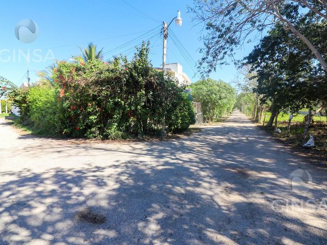 place photo 16