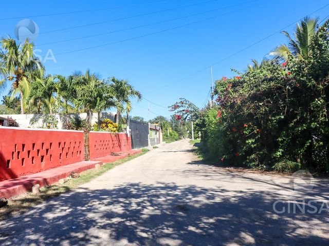 place photo 15