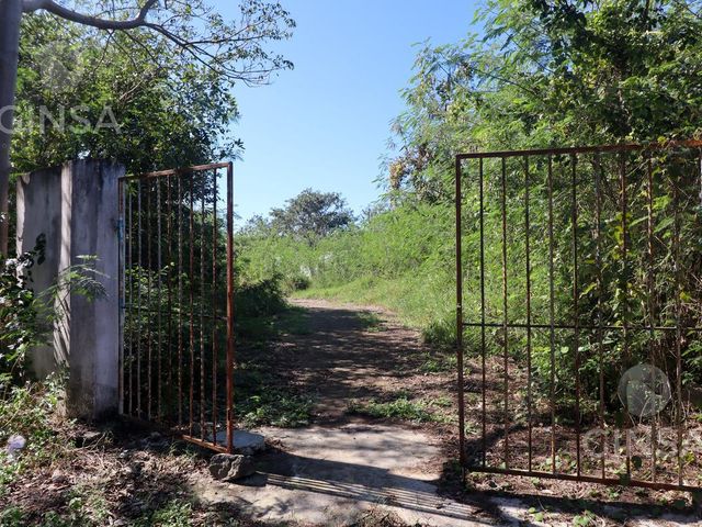 place photo 19