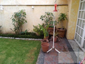 place photo 22