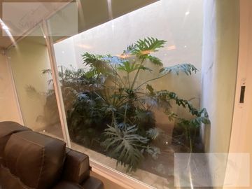 place photo 45