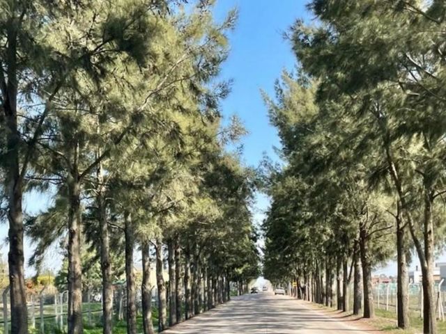 place photo 21